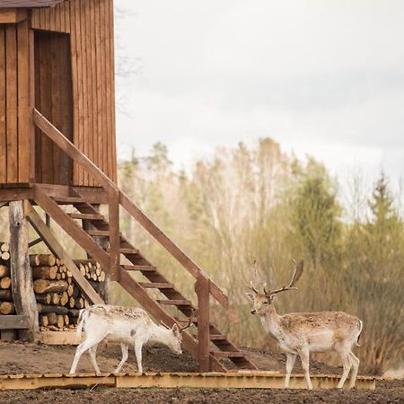 Вилла Arciau Gamtos Anyksciai Kurkliai Экстерьер фото