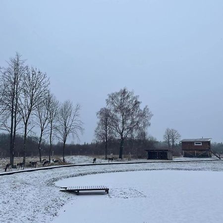 Вилла Arciau Gamtos Anyksciai Kurkliai Экстерьер фото