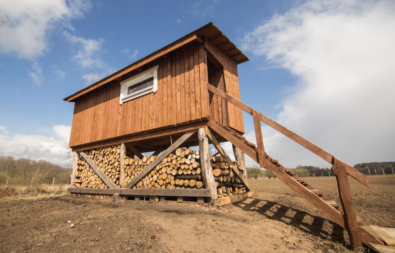 Вилла Arciau Gamtos Anyksciai Kurkliai Экстерьер фото